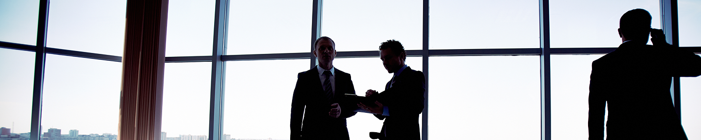 Banner Loggus Seguros